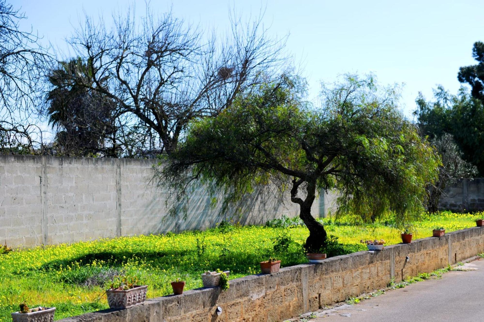 Le Residenze Salentine - In Lecce